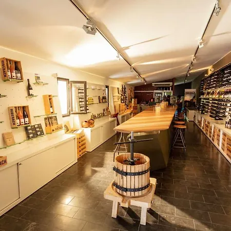 - La Maison Du Chateau - By Domaine Riberach Vendégház 3*