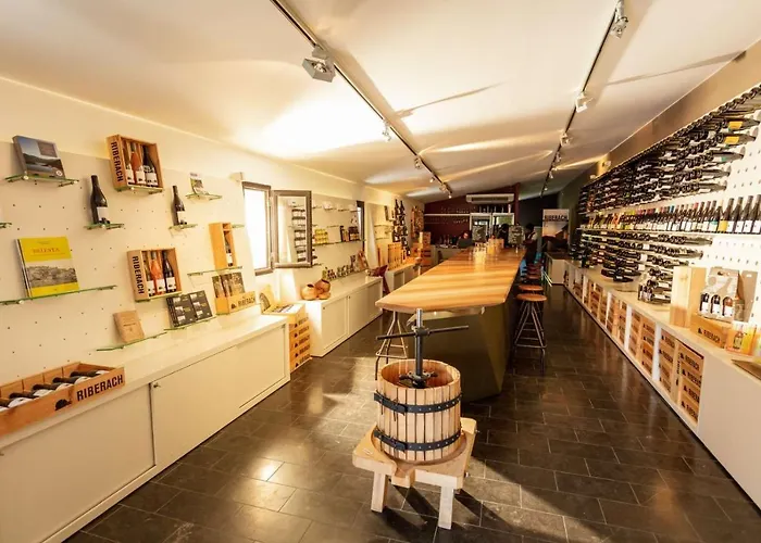 - La Maison Du Chateau - By Domaine Riberach Gasthuis 3*