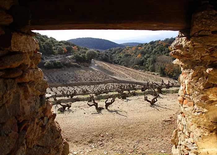 - La Maison Du Chateau - By Domaine Riberach 3* Bélesta